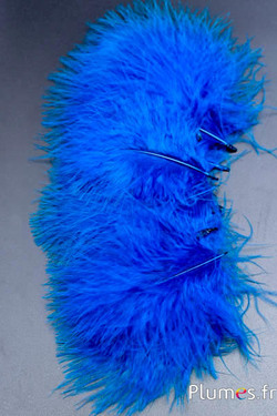 Dinde marabout - 8-12 cm - turquoise